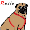Avatar de rosiepug