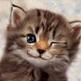 Avatar de miley90