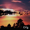Avatar de Cry.