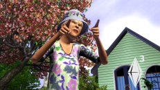 Image of the game The Sims 3