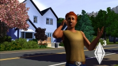 Image of the game The Sims 3