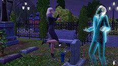 Image of the game The Sims 3