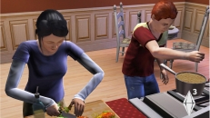 Image of the game The Sims 3