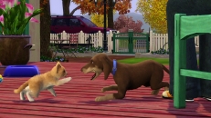 Image of the game Pets