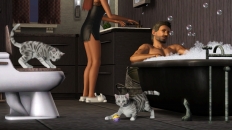 Image of the game Pets